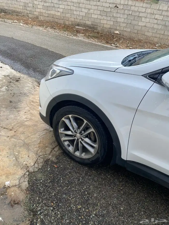 سنتافي 2018 27