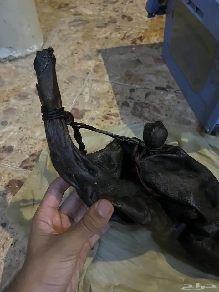 مدهنة سمن نظيفة 4