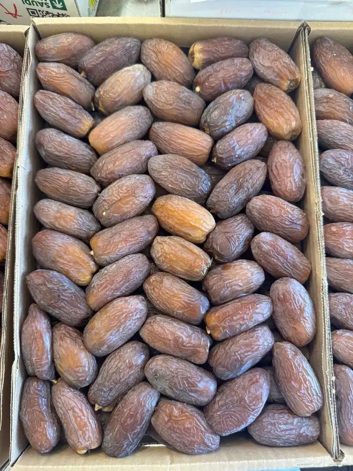 لجميع انواع التمور 4