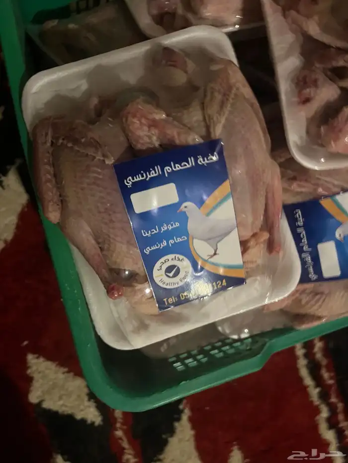 زغاليل فرنسي 0