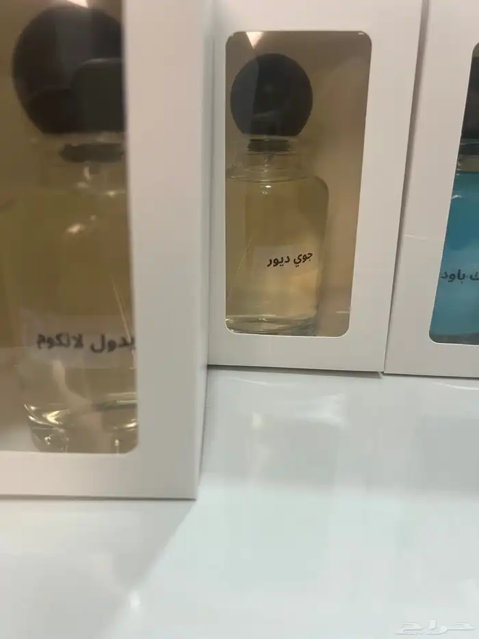 عرض 10 عطور 100 مل 200 21