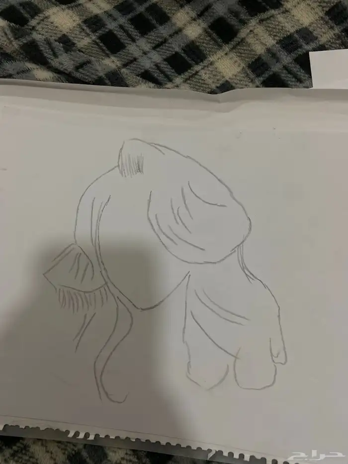 رسومات للبيع 1