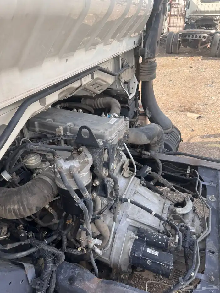 دينا ايسوزو 2016 5