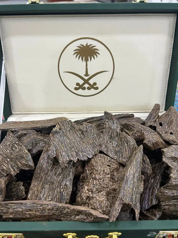 عود ازرق محسن فاخر 1