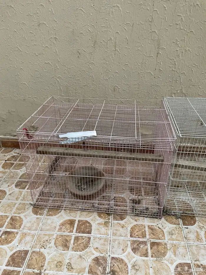 قفص طيور 3