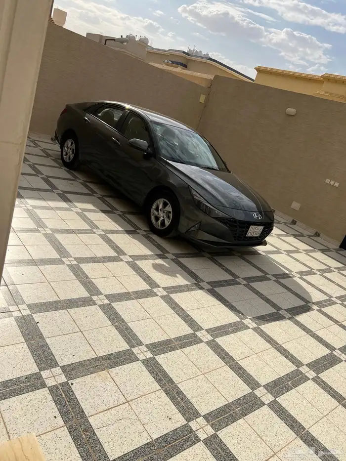 النتراء 2023 2