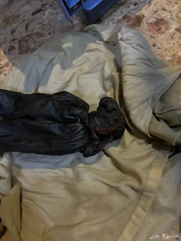 مدهنة سمن نظيفة 3