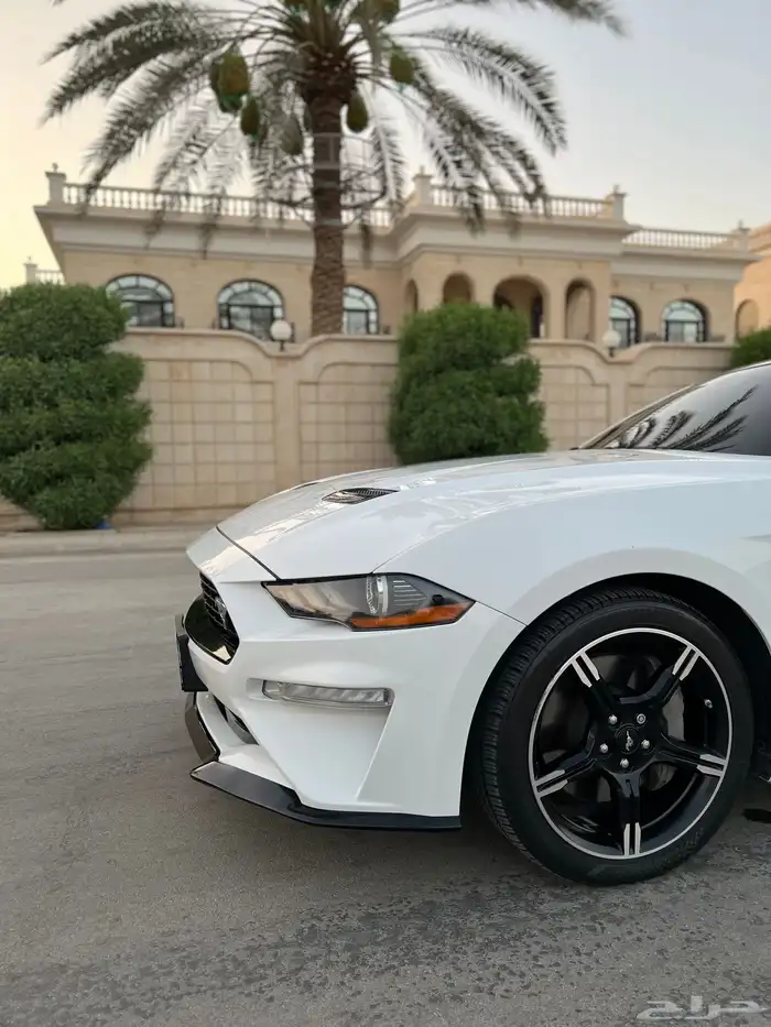موستنق 2019 وكاله كالفورنيا سبيشل V8 8