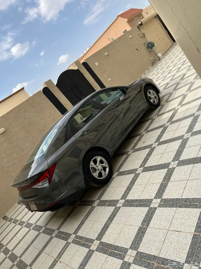 النتراء 2023 5
