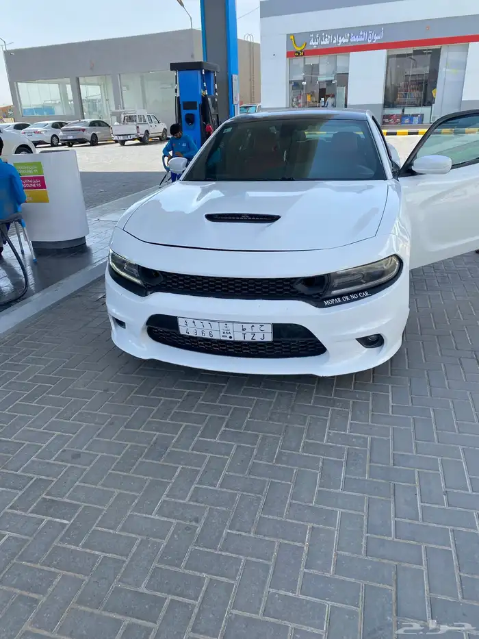 دوج للبيع 2