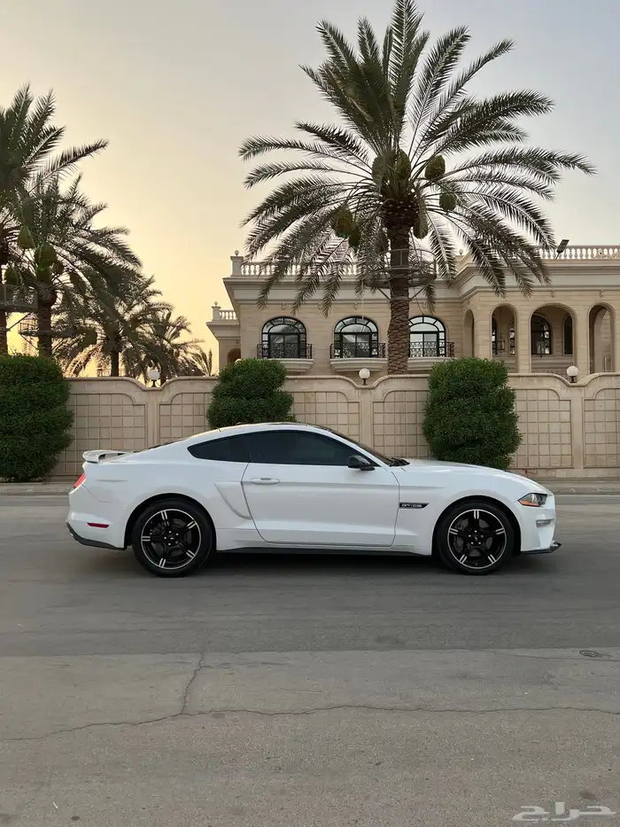 موستنق 2019 وكاله كالفورنيا سبيشل V8 7