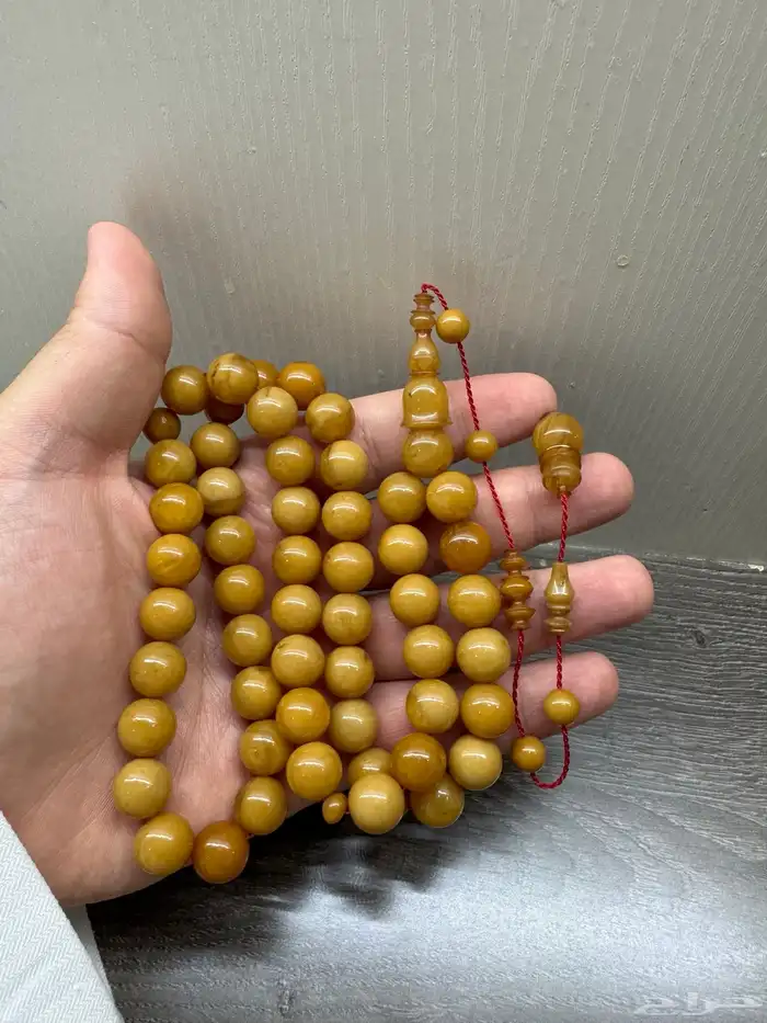 سبح ضومنه وبلياردو وكوك وفاتوران 11