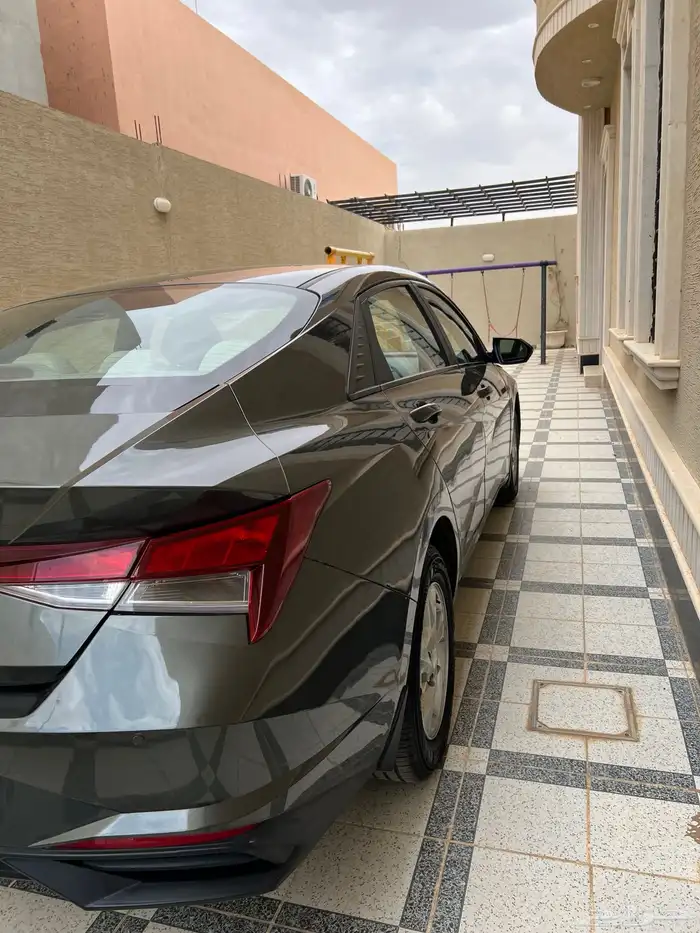 النتراء 2023 12