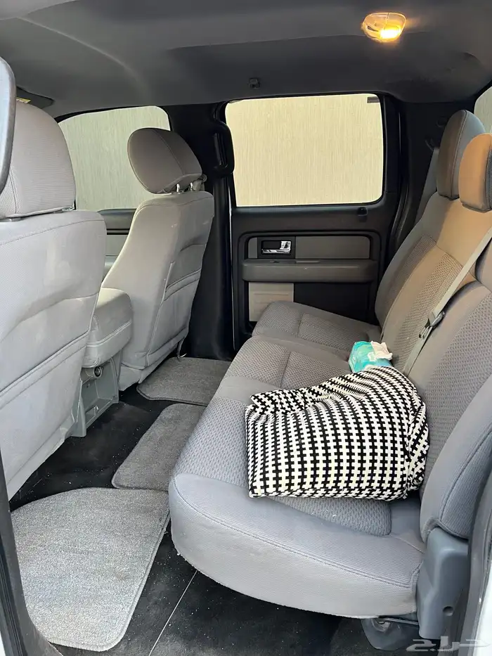 فورد F150 10