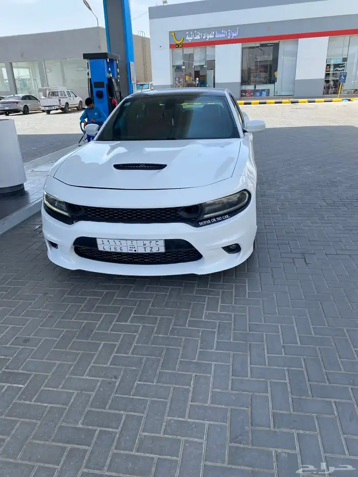 دوج للبيع 1