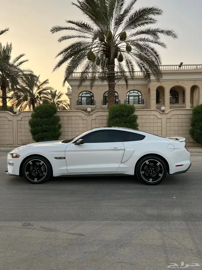 موستنق 2019 وكاله كالفورنيا سبيشل V8 6