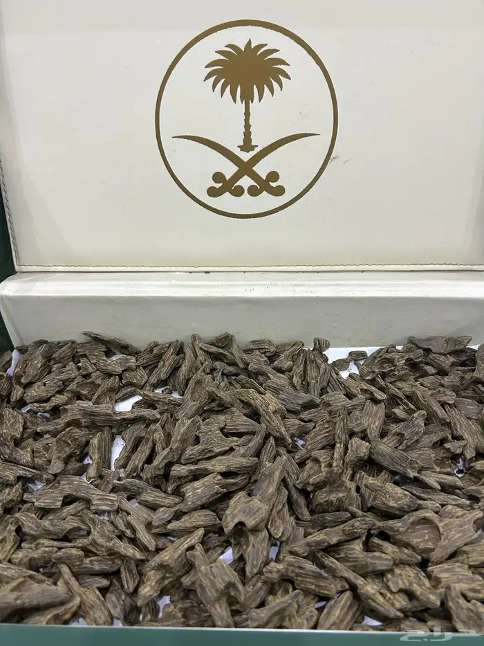 كلمنتان بنتلي محسن 0