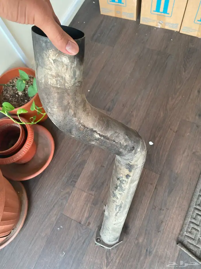 شخمار شفر ليت كومارو 2018 1