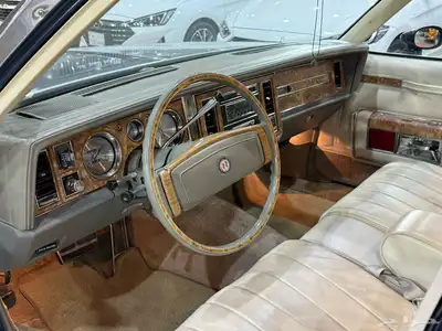 بيوك 1980 ( اللوحة خارج البيعه ) index