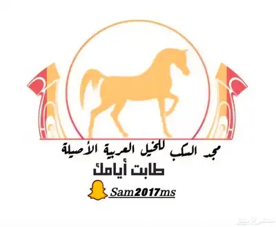 مربط السكب عروض يوم الوطني index