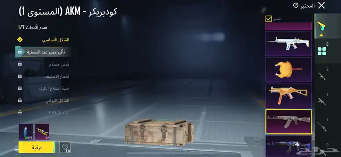 حساب ببجي 5