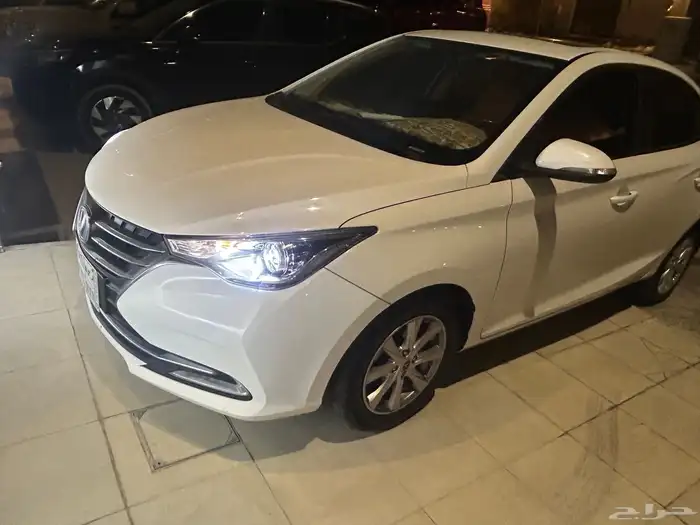 شانجان السفن 2024 19