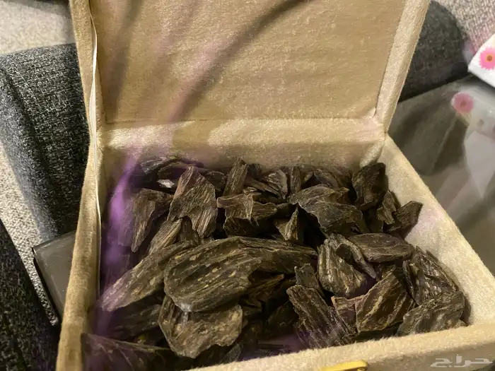 عود كلمنتان 1