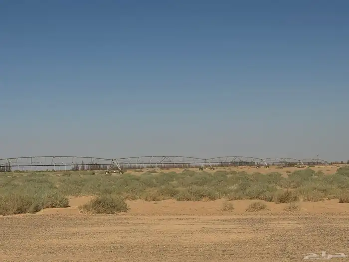 للبيع رشاشين زيمتك جي تو المطور 1