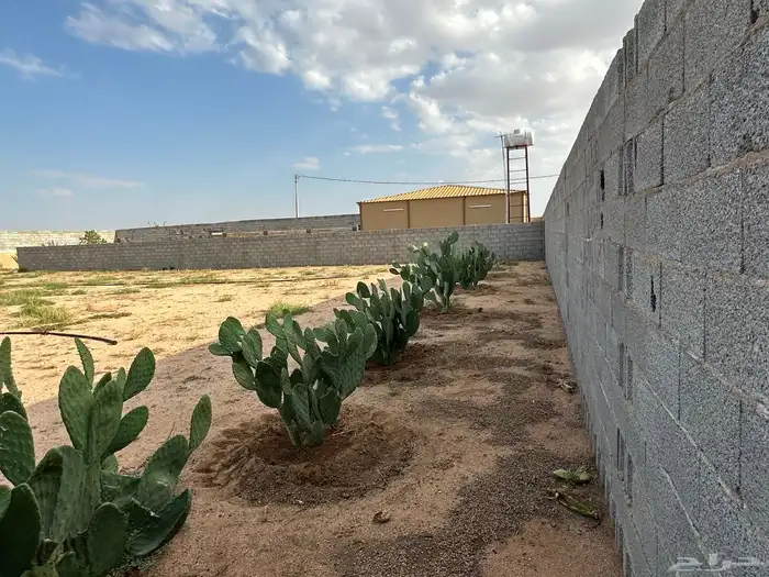 استراحة مكتملة الخدمات الموقع بداية عشيره خلف محطة تنومه 2ك 18