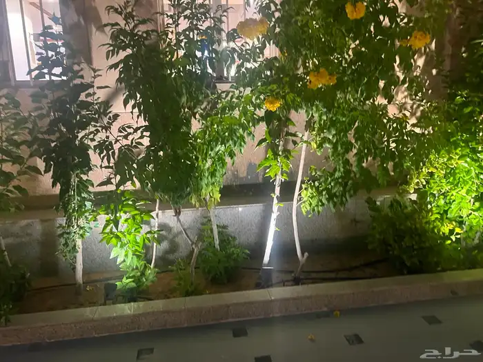 تنسيق حدائق 4