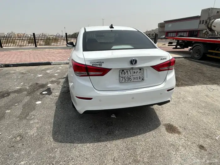 شانجان السفن 2024 17