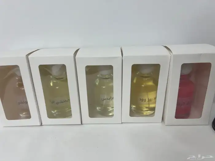 عرض 10 عطور 100 مل 200 16