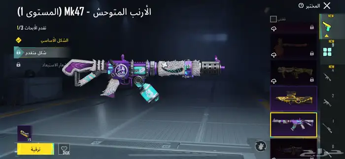 حساب ببجي للبيع 4