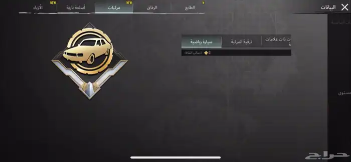 حساب ببجي 29