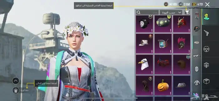 حساب ببجي 19