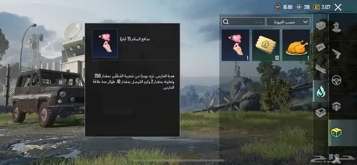 حساب ببجي مقابل فري فاير 46