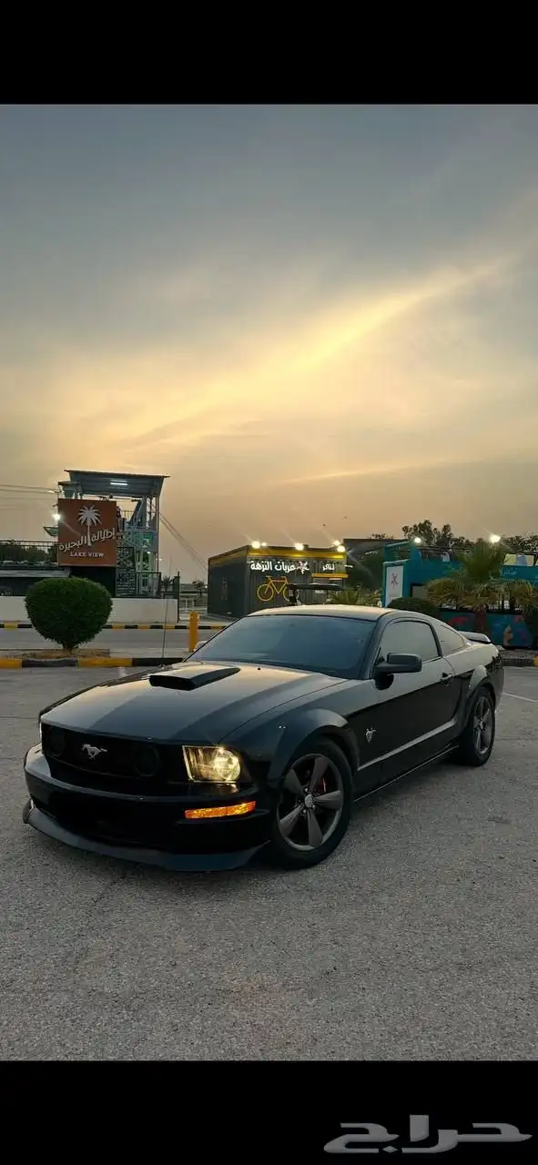 موستنق 2009 0