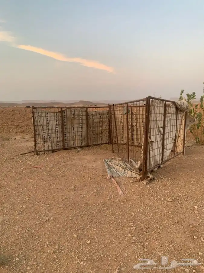 للبيع. بيت شعر و خيمه عمود و مطاره ماء عايدي 4