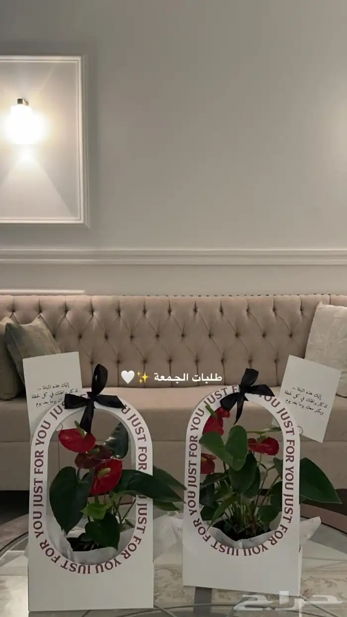 نباتات داخليه 5