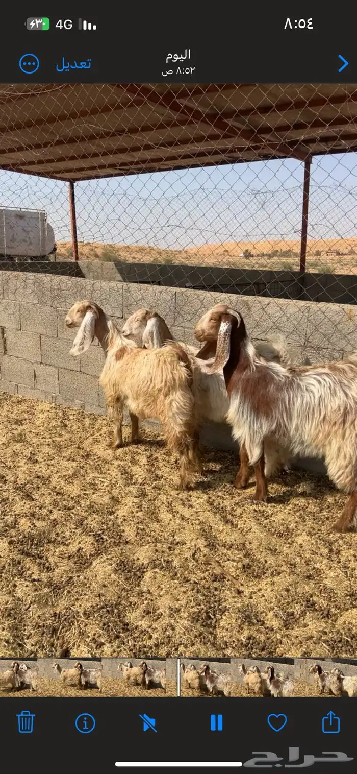 جفار خصم 3