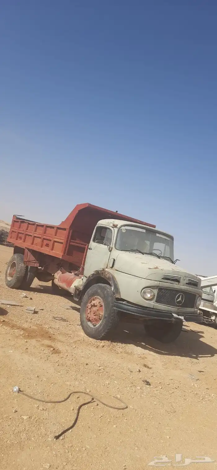 عايدي بوز 82 0