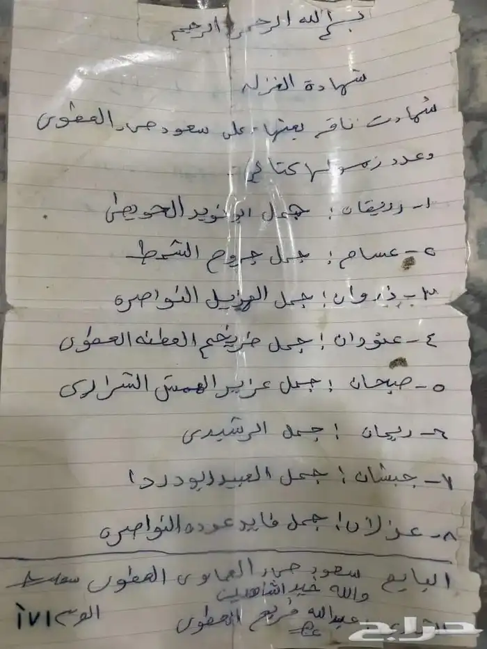 حره بكره مفروده تروح حقه بنت زرعان وامها اصيل 4