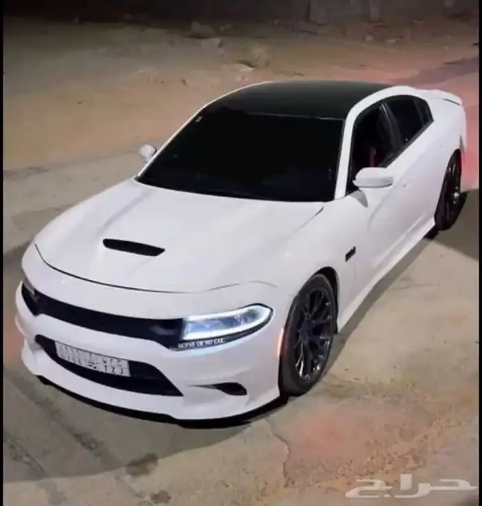 دوج للبيع 16