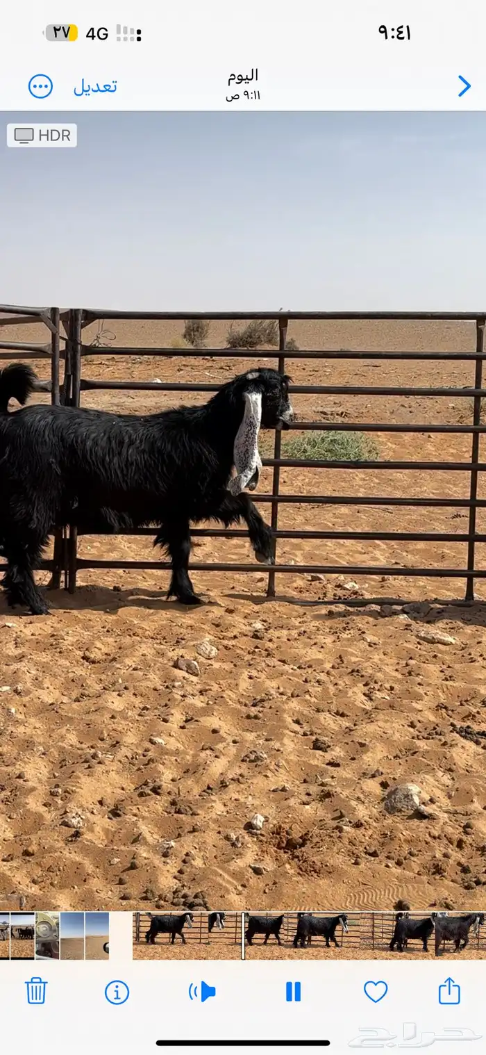 للبيع جفرات عوارض 1