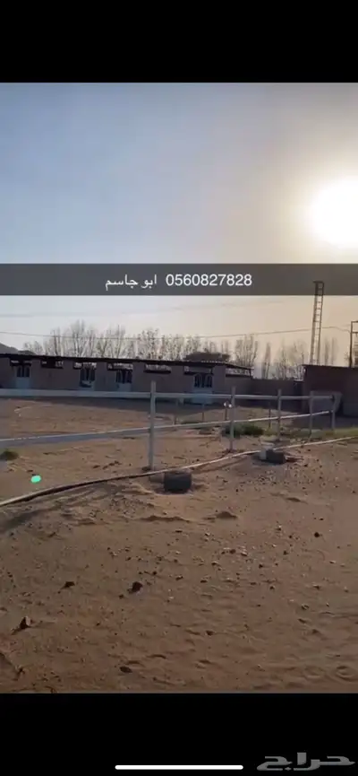 المدينه المندسه ( الجوه) index