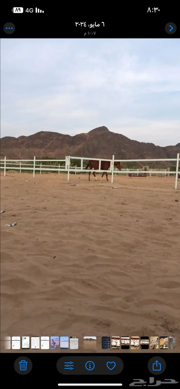 المدينه المندسه ( الجوه) 15