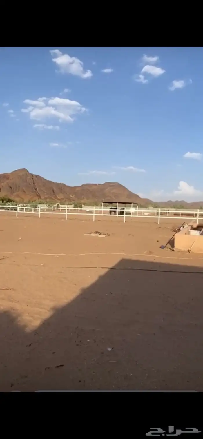 المدينه المندسه ( الجوه) 8