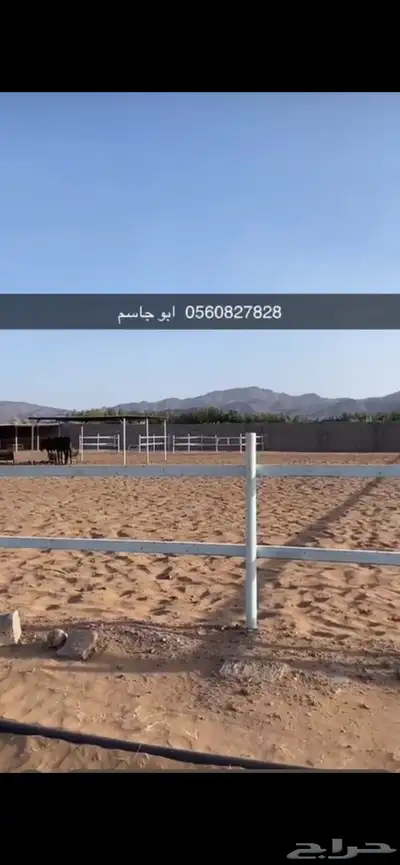 المدينه المندسه ( الجوه) index