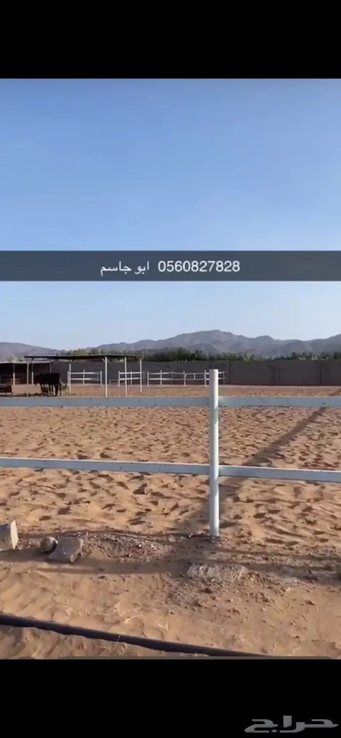 المدينه المندسه ( الجوه) 6
