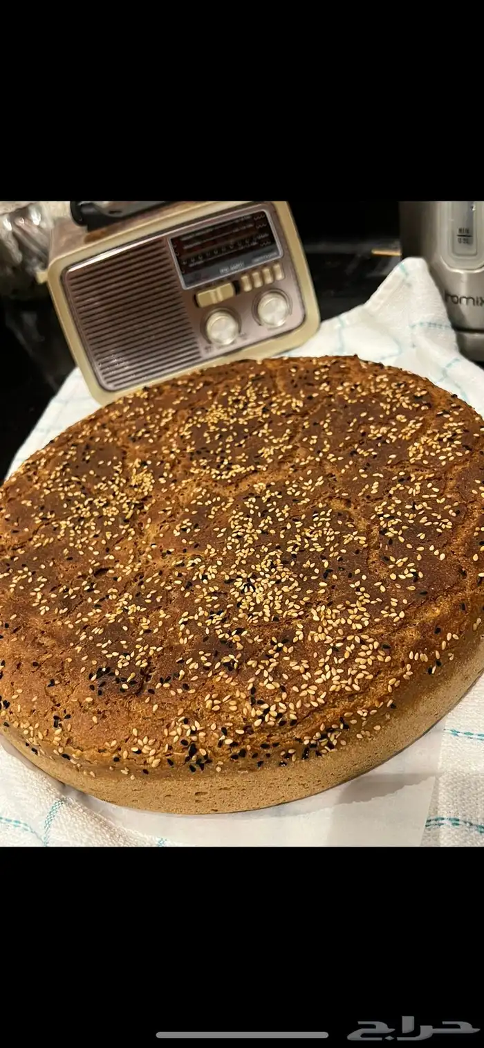 عريكة من يد الجنوبية 1